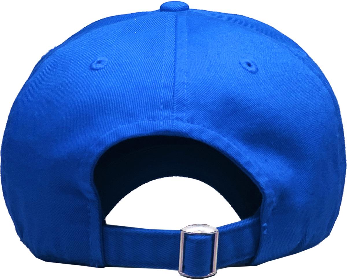 Royal dad hat rear view